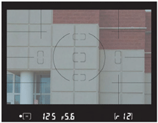 Viewfinder grids can make it easier to align images with strong horizontal or vertical lines