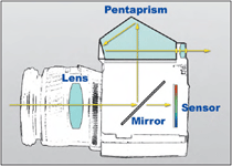 Light from the lens bounces off the mirror, through the pentaprism, and out through the viewfinder window