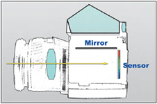 With the mirror locked up, one source of vibration is eliminated