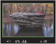 With 95 percent viewfinder coverage, you’ll lose only the portion of the image shaded in green