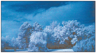 Channel swapping can give you color infrared pictures